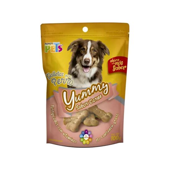 Imagen de Premios galletas sabor carne para perro fortificadas con vitaminas y sin grasa Fancy Pets Yummy 100g