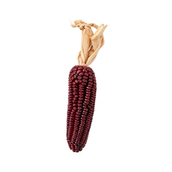 Imagen de Mazorca de elote de ornato color rojo
