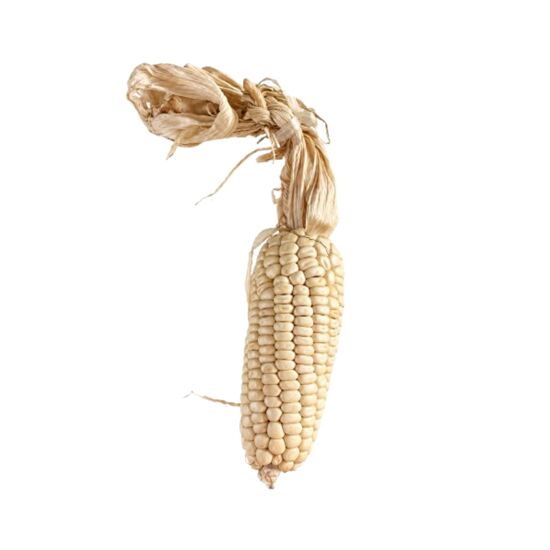 Imagen de Mazorca de elote de ornato color blanco
