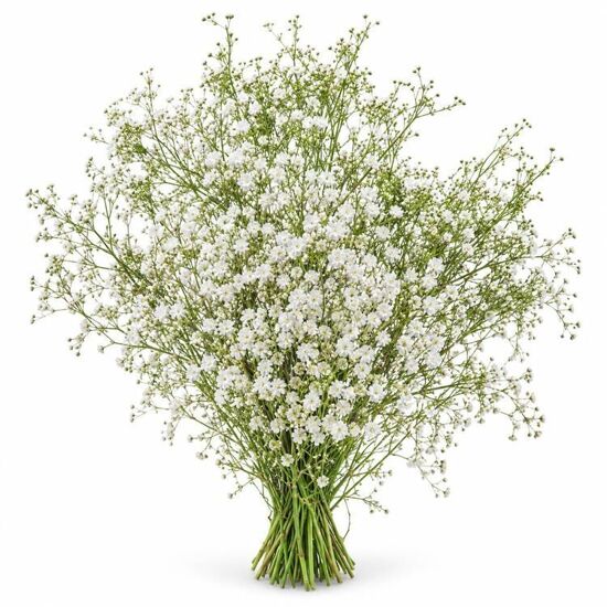 Imagen de Flor nube en rollo extra grande