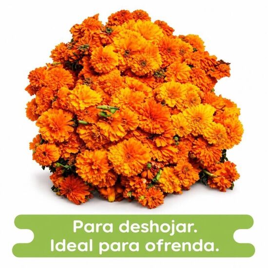Imagen de Flor de cempasúchil económica en rollo extra grande